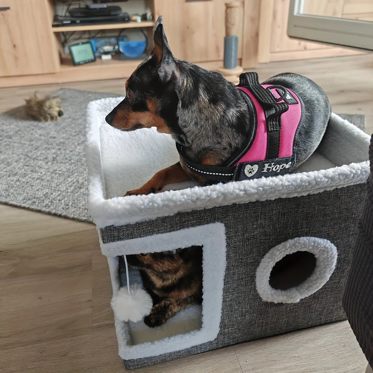 Indoor Cat Beds: Double-decker Luxury Houses, Foldable Sofas, Sisal Scratching Boards, Non-slip Bottoms, Scratching Pads.