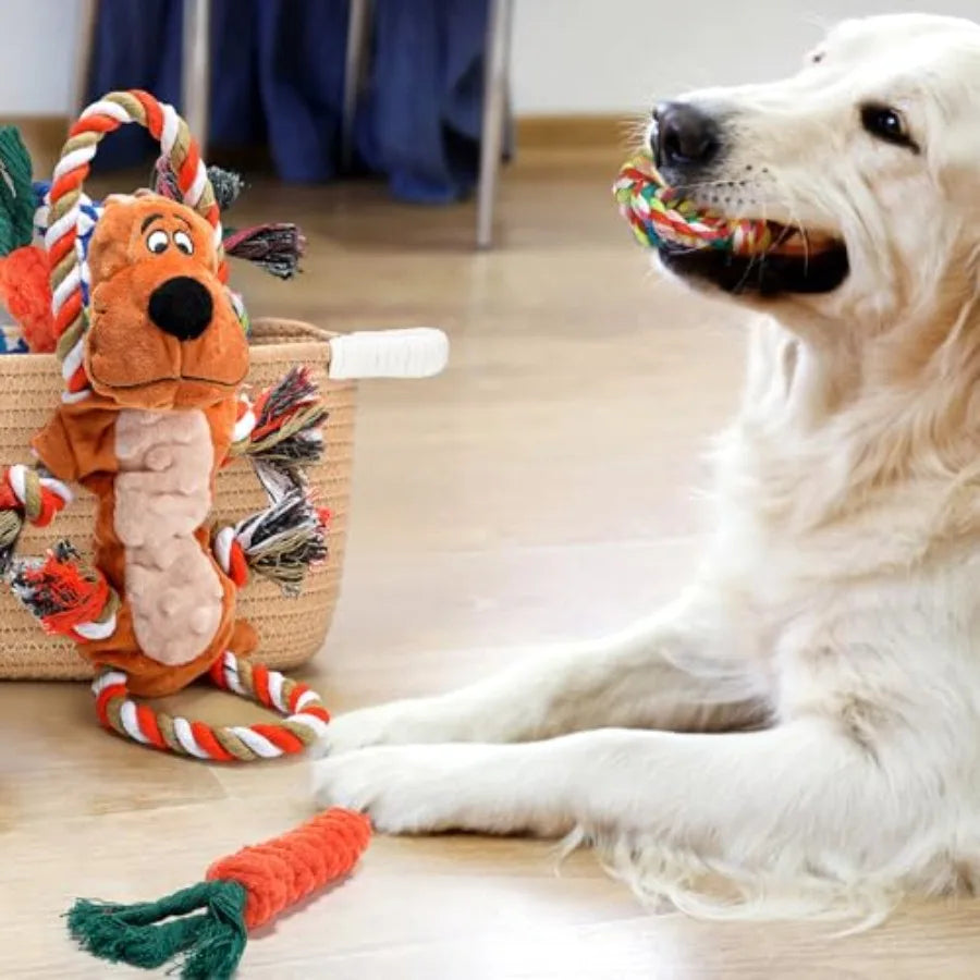 Puppy Gift Basket Starter Kit with Dog Toys Set Chew Toys Teething Interactive Squeaky Plush Storage Basket for Doggie Birthday