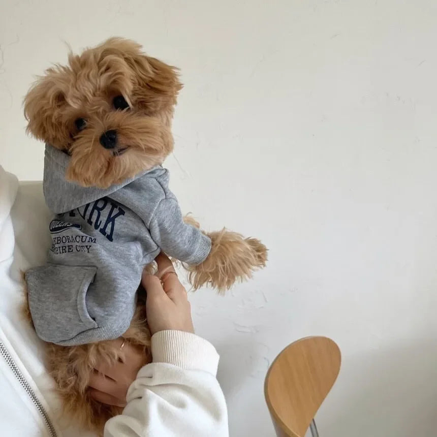 Autumn and Winter Pet Sweatshirts Warm Clothes for Dogs Teddy Letter Print Hoodies Bichon Frise Fleece Two-Legged Clothes