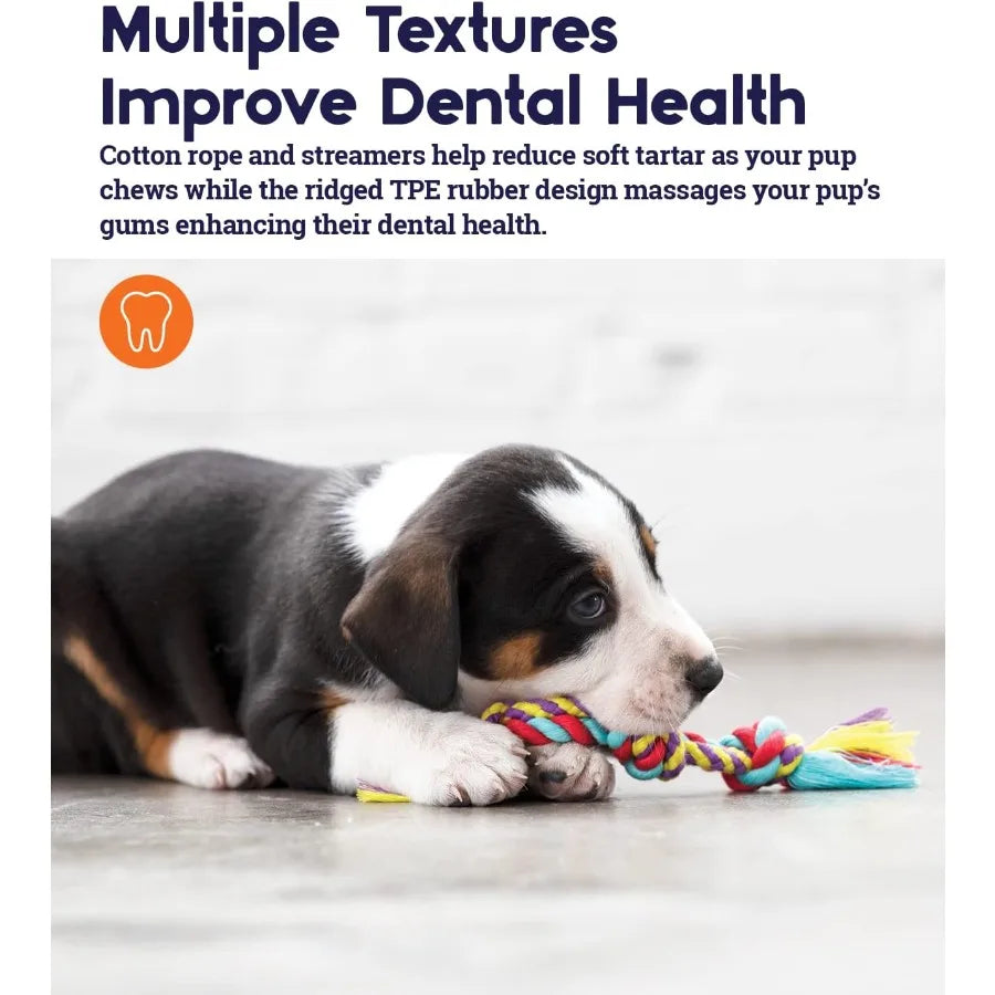 Orka Mini Dental Dog Chew Toys 3 Pack for Small Dogs Designed to Promote Oral Health and Reduce Plaque Ideal for Daily Use in T