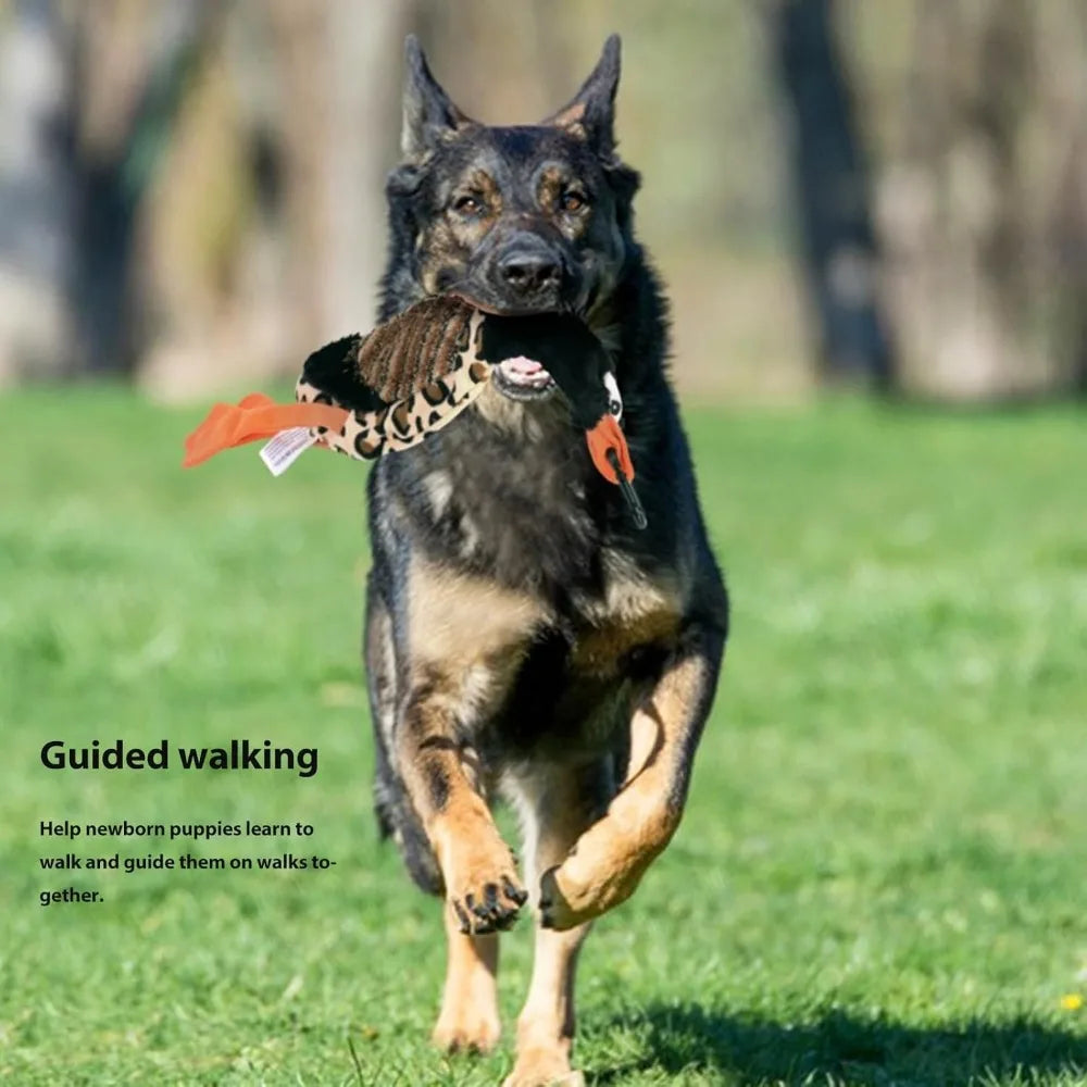 Sorandy Flirt Pole for Dogs Chase and Tug of War, Interactive Toys with Rope Lure Teaser Wand for Outdoor Training and Exercise,