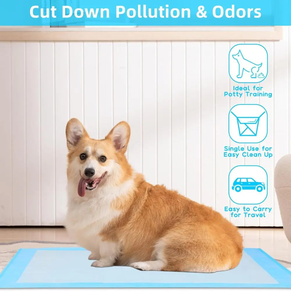 Super Absorbent Waterproof Dog and Puppy Pet Training Pad, Housebreaking Pet Pad,Blue (22"x22" (50PCS))