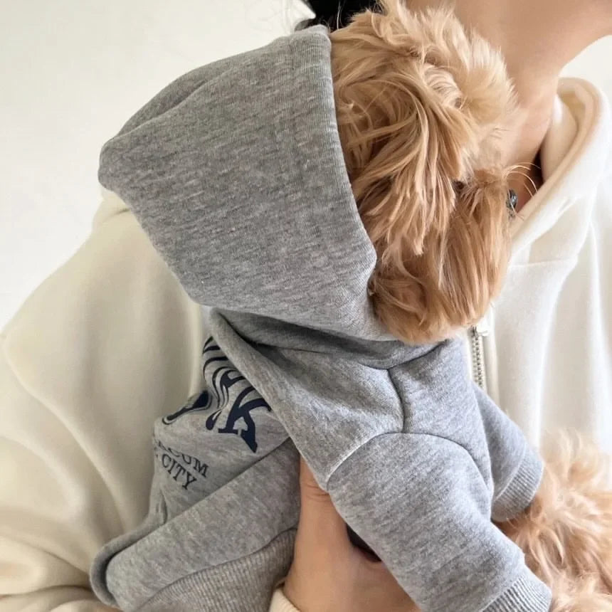 Autumn and Winter Pet Sweatshirts Warm Clothes for Dogs Teddy Letter Print Hoodies Bichon Frise Fleece Two-Legged Clothes