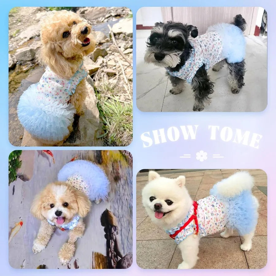 Floral Dog Cat Dress with Tutu Skirt Breathable Stretch Pet Clothes for Small Dogs Girl Cats Puppies Birthday Party Outfit in B