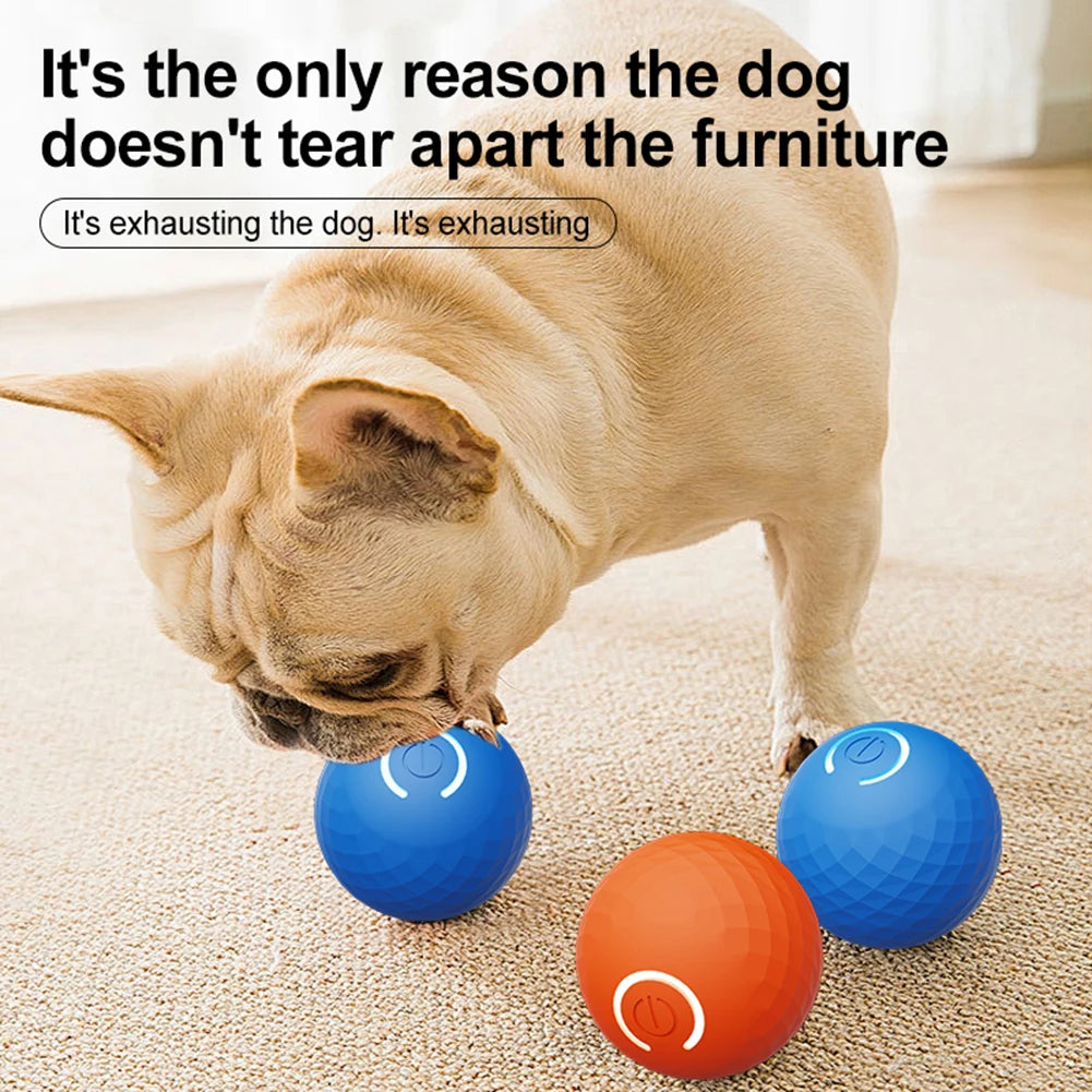 Dog Toy Ball USB Rechargeable Smart Electric Ball Toy Automatic Rolling Ball Toys for Puppy/Small/Medium Dogs