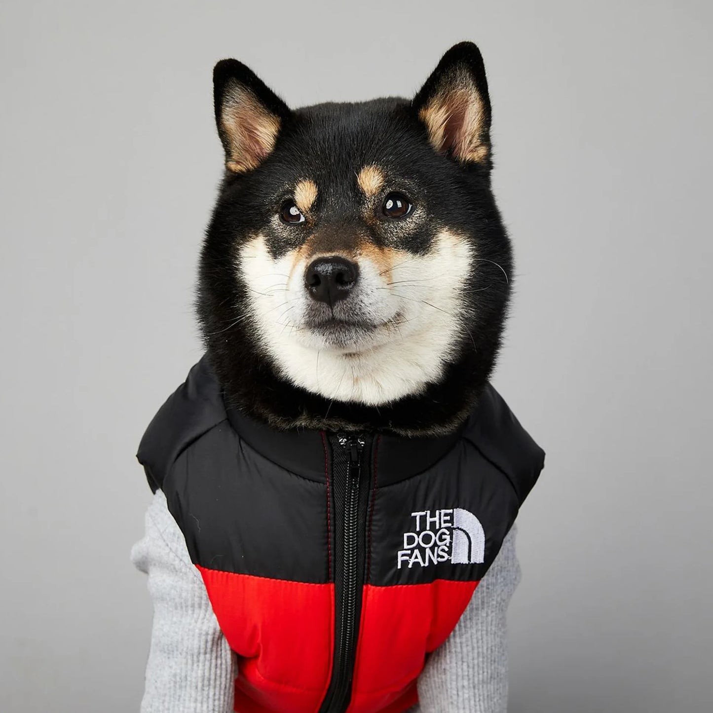 The Dog Face Toys Dog Clothes Cute Accessories Wholesale Birthday Gifts Pet Supplies Trendy Brand Thermal Assault Suit Presents