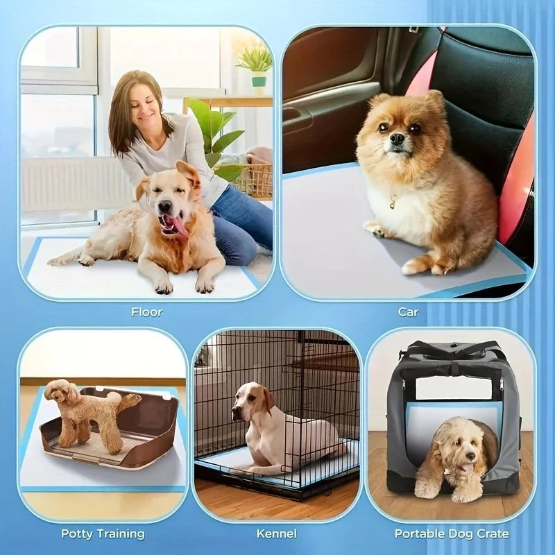 100/50/40PCS Dog Pee Pads with Leak-Proof Quick-Dry Design for Potty Training Absorbent Puppy Diapers Disposable Dogs Supplies