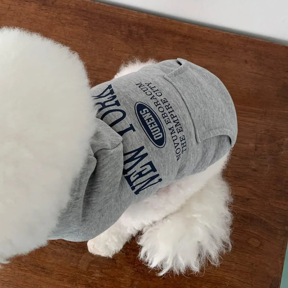 Autumn and Winter Pet Sweatshirts Warm Clothes for Dogs Teddy Letter Print Hoodies Bichon Frise Fleece Two-Legged Clothes