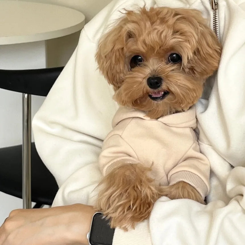 Autumn and Winter Pet Sweatshirts Warm Clothes for Dogs Teddy Letter Print Hoodies Bichon Frise Fleece Two-Legged Clothes