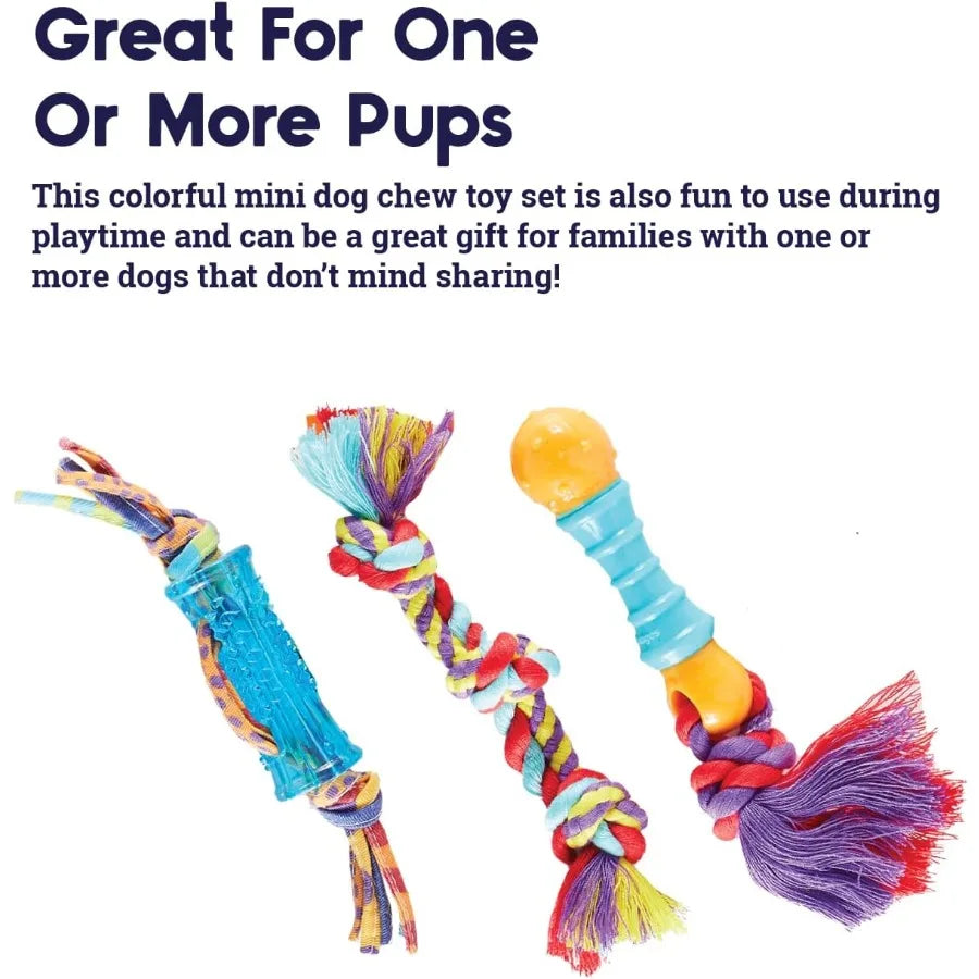 Orka Mini Dental Dog Chew Toys 3 Pack for Small Dogs Designed to Promote Oral Health and Reduce Plaque Ideal for Daily Use in T