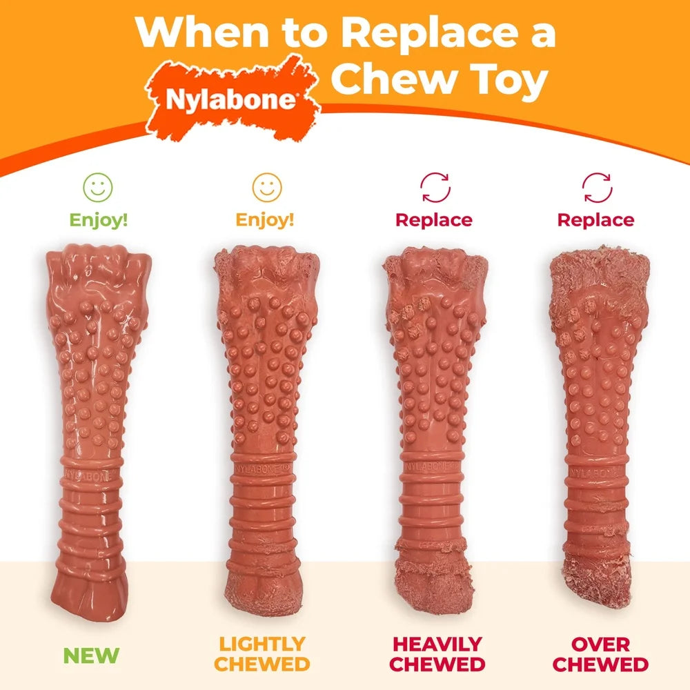 Power Chew Dog Dental Chew Toy with Paw Grips Tough Nylon Flavor Infused Healthy Chewing Teeth Cleaning Fun Up to 50 lbs