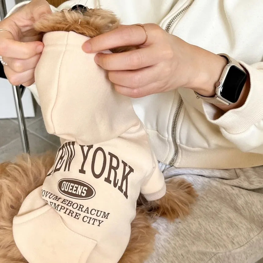 Autumn and Winter Pet Sweatshirts Warm Clothes for Dogs Teddy Letter Print Hoodies Bichon Frise Fleece Two-Legged Clothes