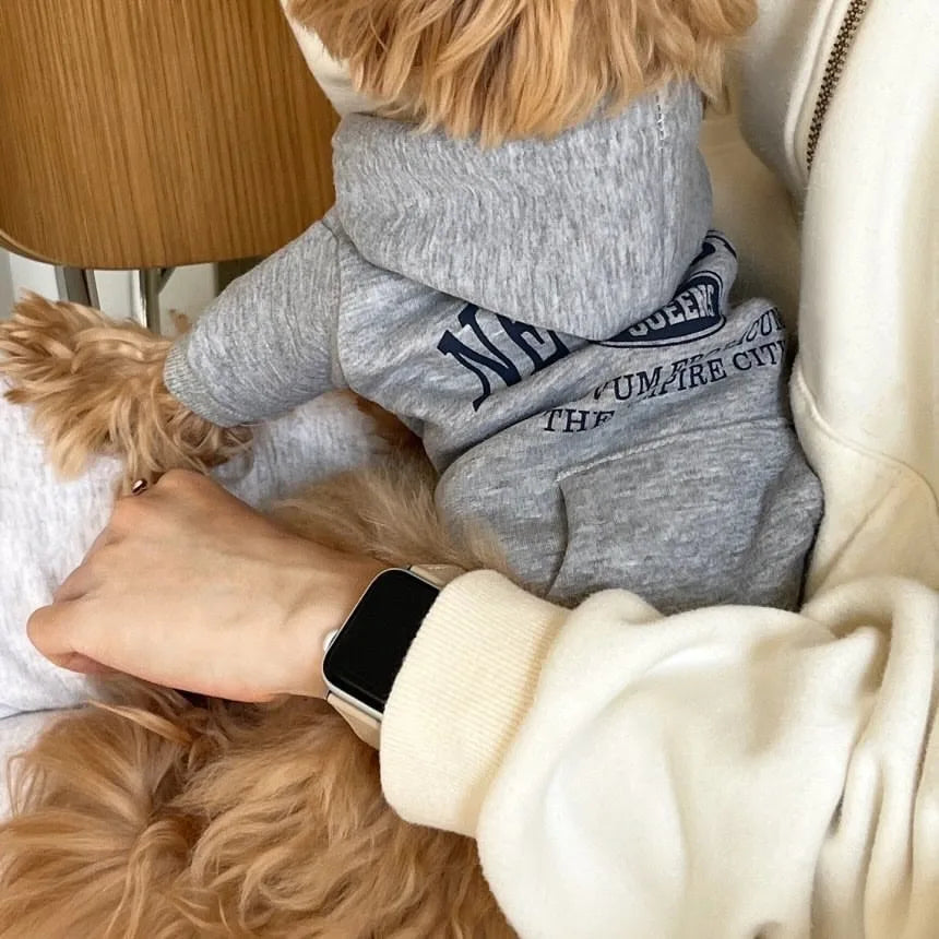 Autumn and Winter Pet Sweatshirts Warm Clothes for Dogs Teddy Letter Print Hoodies Bichon Frise Fleece Two-Legged Clothes