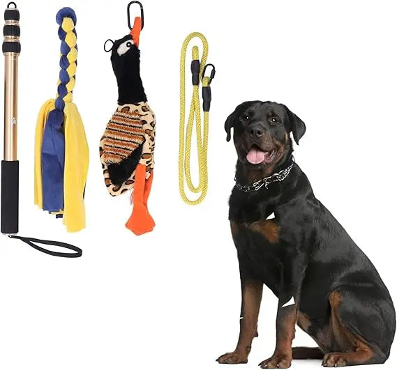 Sorandy Flirt Pole for Dogs Chase and Tug of War, Interactive Toys with Rope Lure Teaser Wand for Outdoor Training and Exercise,