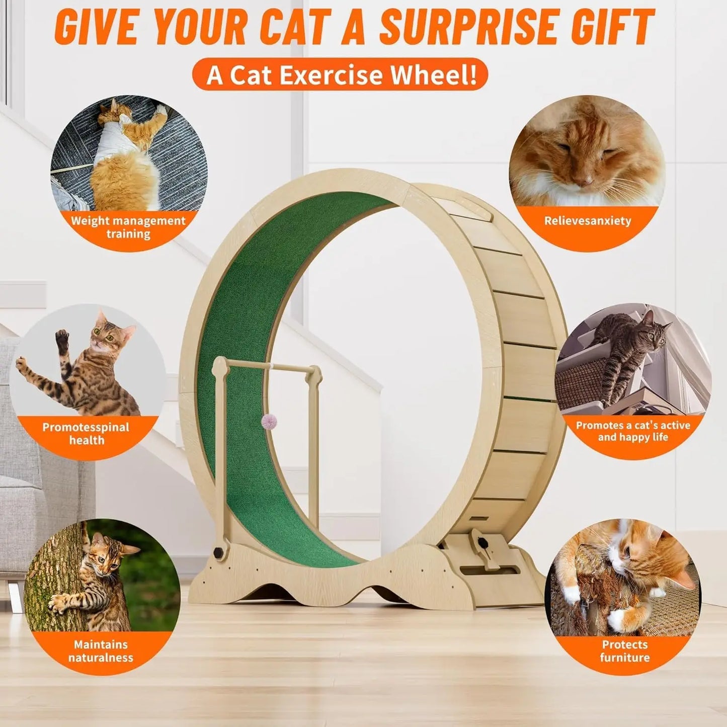 Exercise Wheel for Indoor Cats, 48" Large Cat Running Wheel with Super Wide 15" Tread, Quiet Spinner Hamster Wheel, Supports Up