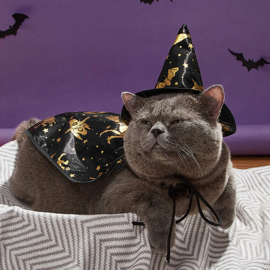 Halloween Pet Pumpkin Cape Set Spiderweb Pattern Adjustable Mysterious Pet Costume Set for Pet Gatherings