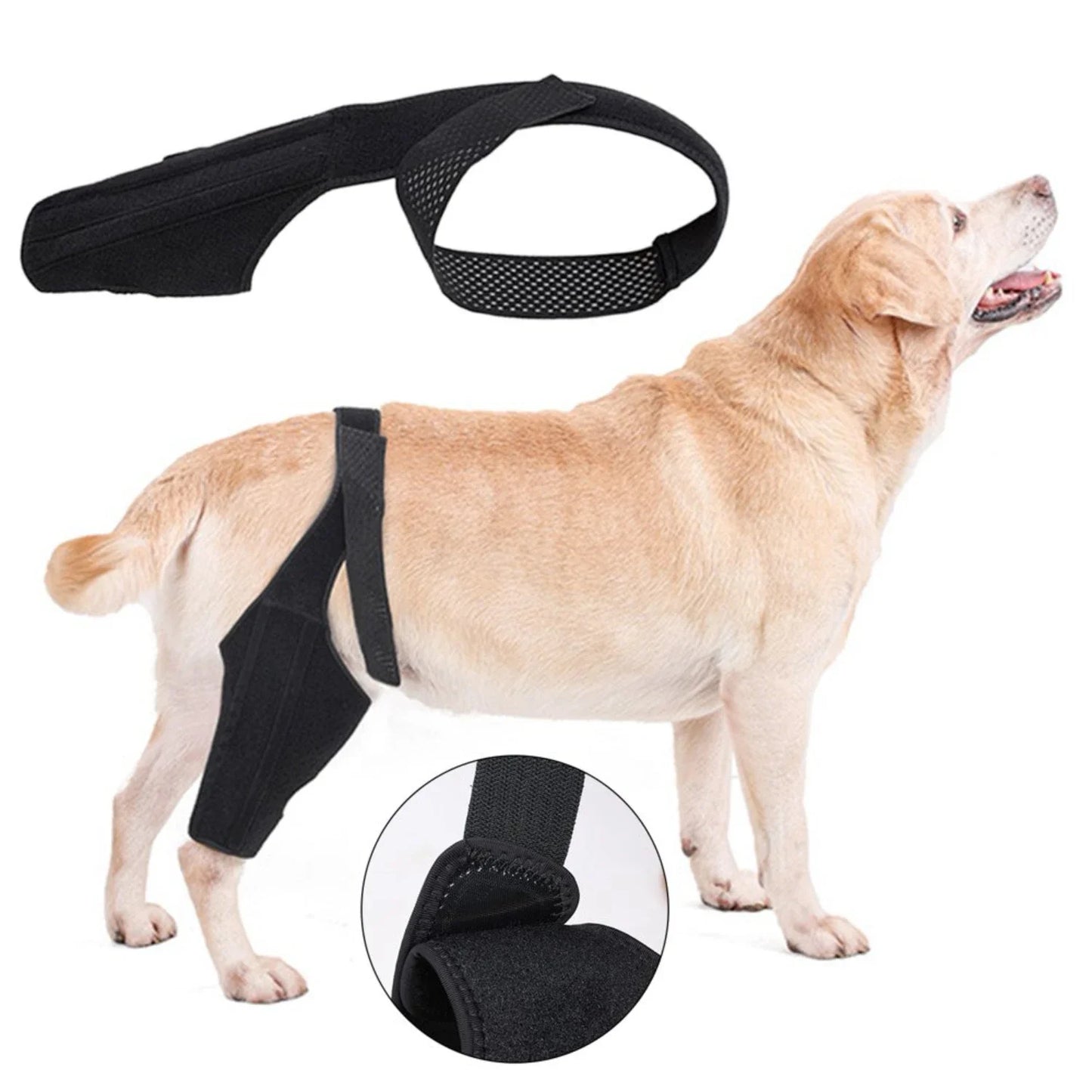 Dog Knee Brace Fastening Strap Adjustable Wear Resistant Hind Leg Brace Pet Supplies