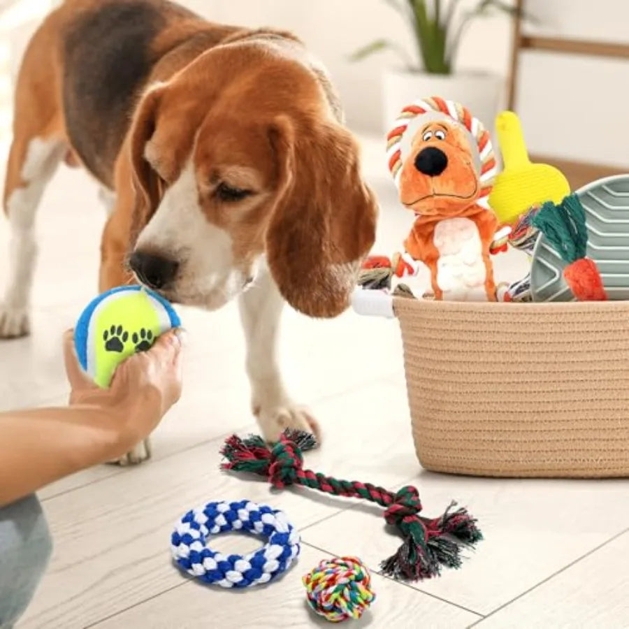 Puppy Gift Basket Starter Kit with Dog Toys Set Chew Toys Teething Interactive Squeaky Plush Storage Basket for Doggie Birthday