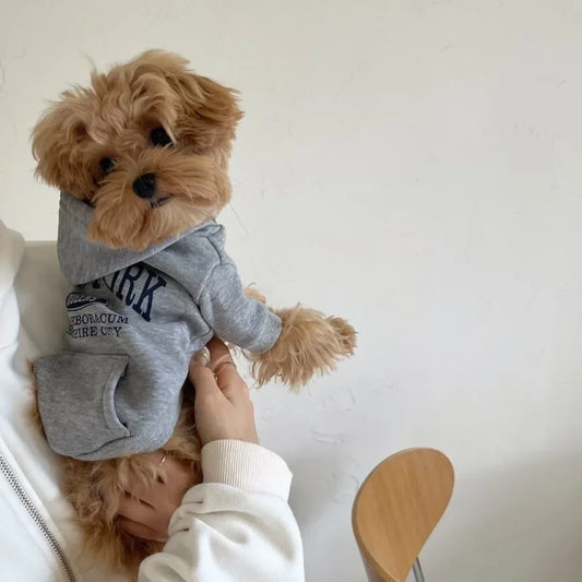 Autumn and Winter Pet Sweatshirts Warm Clothes for Dogs Teddy Letter Print Hoodies Bichon Frise Fleece Two-Legged Clothes