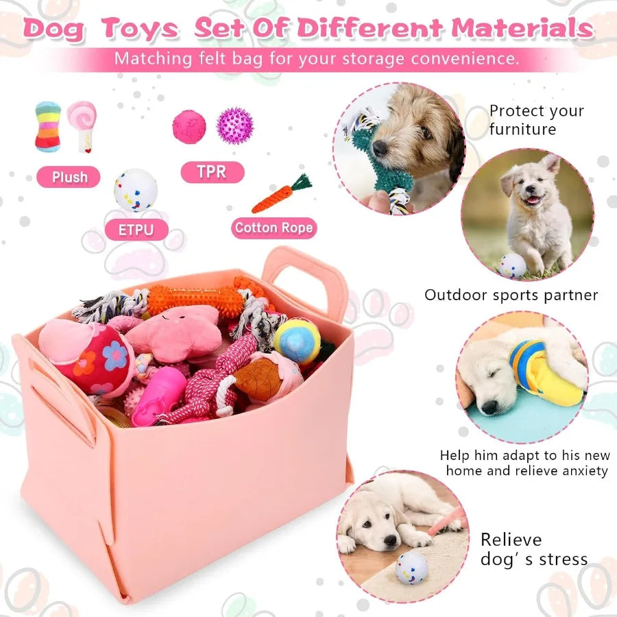 65 Pcs Puppy Supplies Starter Kit Small Dog Essentials Includes Dog Leash Toys Bowl Brushes Water Bottles pet Blankets Puppy Ac
