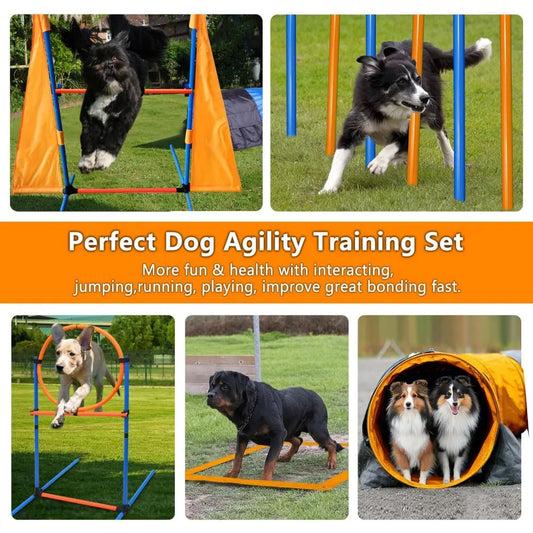 Dog Agility Training Equipment Set Outdoor Indoor Game, Tire Jump + Hurdle Jump, Tunnel, Weave Poles, Pause, 2 Toy Balls, 2 Disc
