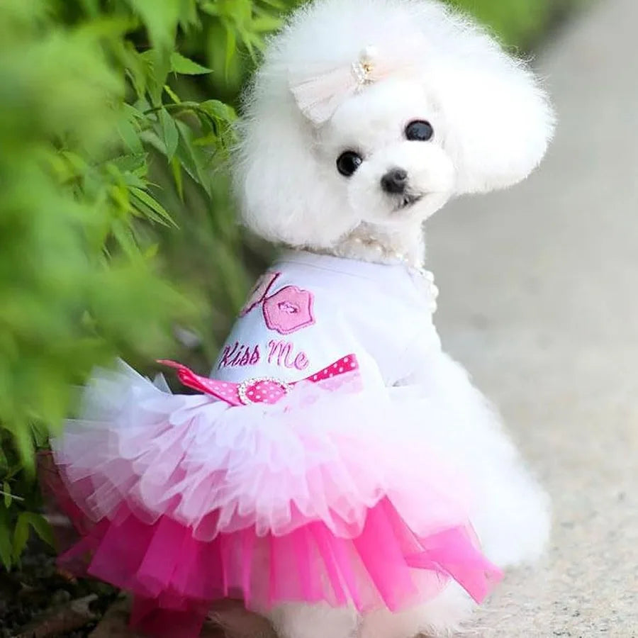 2 Pack Cute Princess Tutu Dog Dresses for Small Female Dogs Suitable for Chihuahua Yorkie and Other Tiny Breeds Adorable Outfit