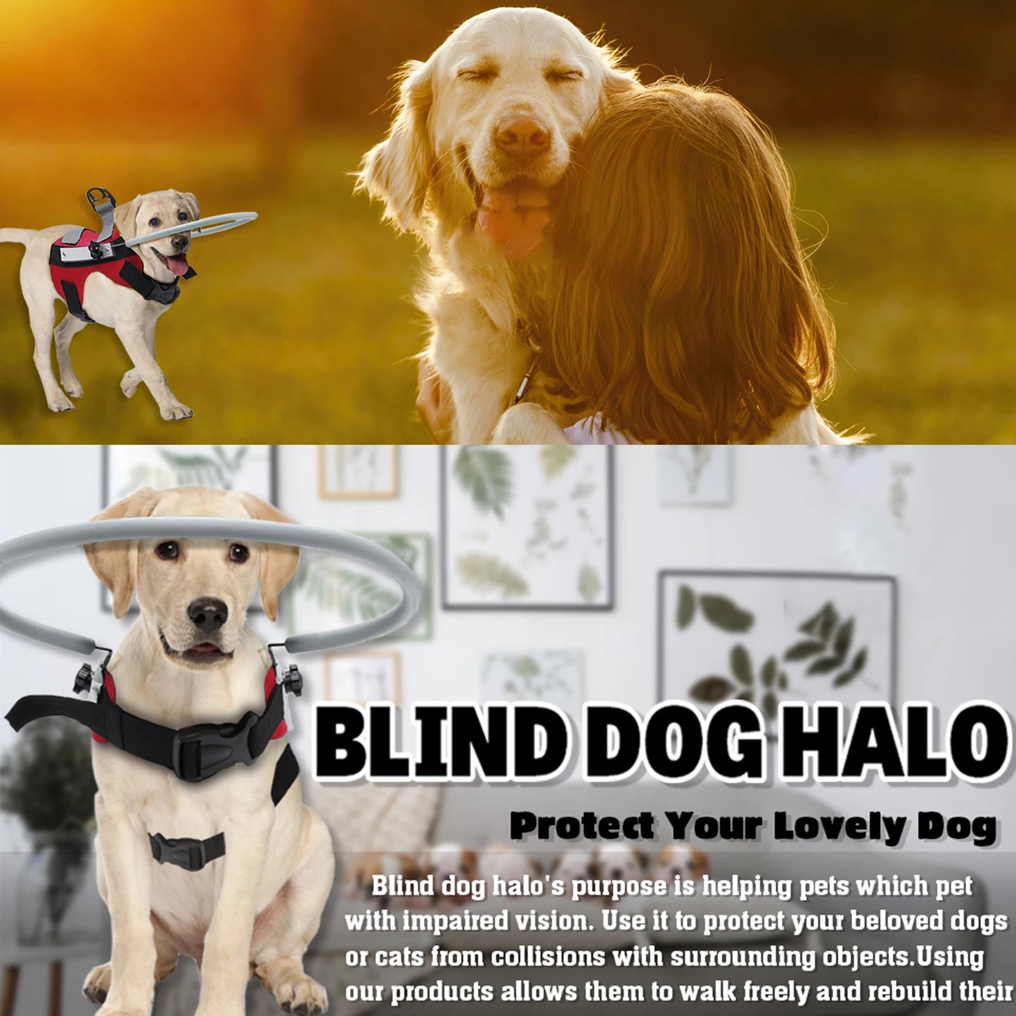 Blind Dog Halo Harness, Anti-Collision Blind Halo Ring for 11"-20" Visually Impaired Pets