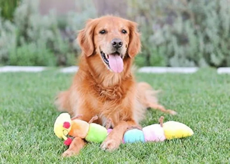 20" Large Caterpillar Dog Toy, 7 Squeaker Plush for Medium & Large Dogs, Boredom Relief