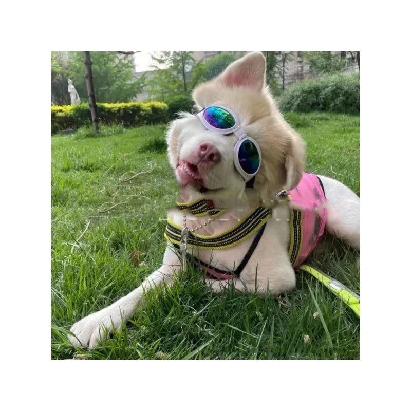 Pet Dog Fold Glasses Prevent UV Pet Glasses Fashion Sunglasses Pet Goggles Photo Prop Accessories