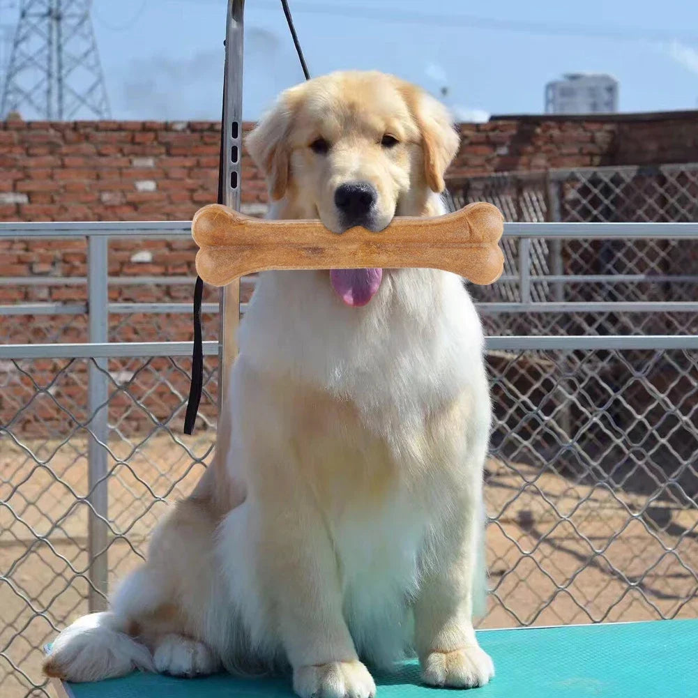 8 Inch Cowhide Bone Non-Toxic Creative Teeth Clean Stick Anti-bite Leather Chew Bone  for Small Medium Large Dog