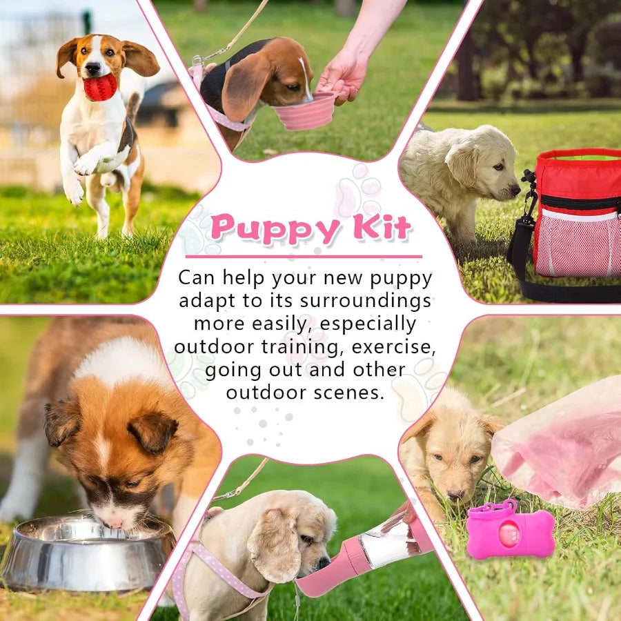 65 Pcs Puppy Supplies Starter Kit Small Dog Essentials Includes Dog Leash Toys Bowl Brushes Water Bottles pet Blankets Puppy Ac
