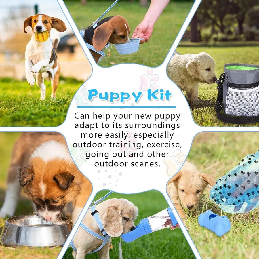 65 Pcs Puppy Supplies Starter Kit Small Dog Essentials Includes Dog Leash Toys Bowl Brushes Water Bottles Pet Blankets Puppy Ac