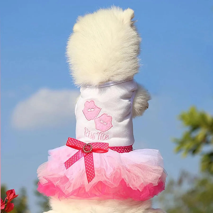 2 Pack Cute Princess Tutu Dog Dresses for Small Female Dogs Suitable for Chihuahua Yorkie and Other Tiny Breeds Adorable Outfit