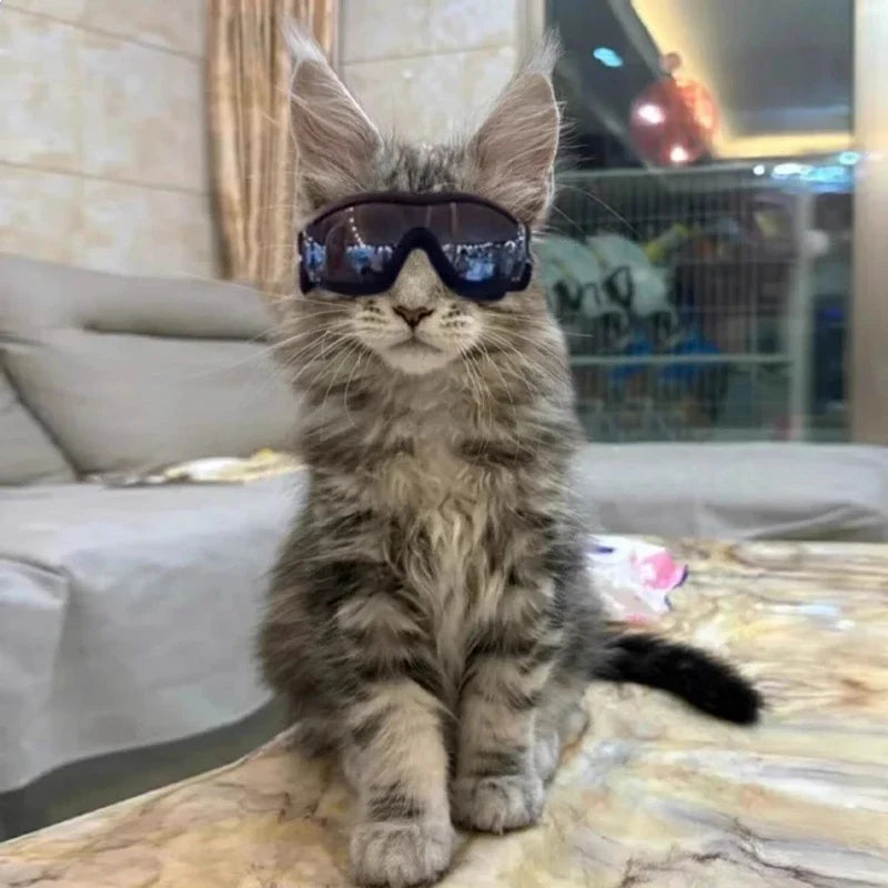 Dog Goggles for Small Breed Dog Sunglasses Dog UV Sunglasses Windproof Soft Frame Adjustable Straps for Small/Medium Dogs Puppy