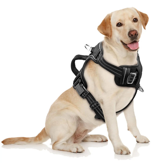 No-Pull Adjustable Dog Harness for Large Dogs 2 Leash Clips,Reflective,No-Choke,Soft Padded Vest with Breathable Mesh