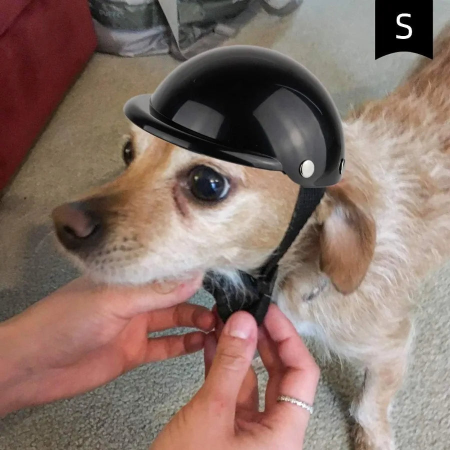 Dog Helmet for Small Dogs Motorcycle Dog Helmets Chihuahua Helmet Outdoor Bike Doggie Helmets Cat Hat XS to Small Breed Outdoor