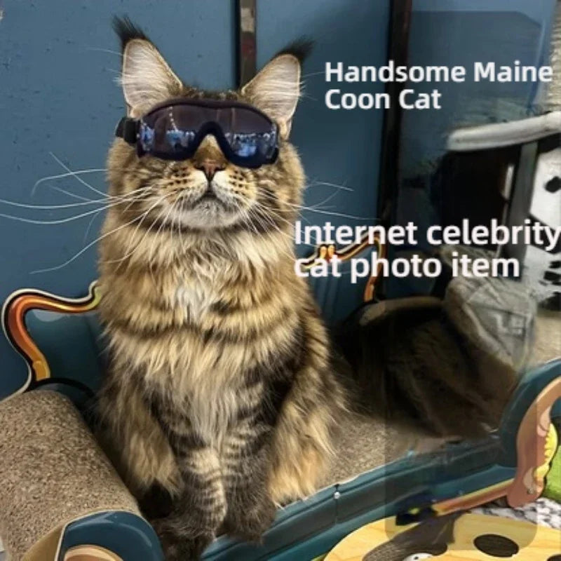 Dog Goggles for Small Breed Dog Sunglasses Dog UV Sunglasses Windproof Soft Frame Adjustable Straps for Small/Medium Dogs Puppy