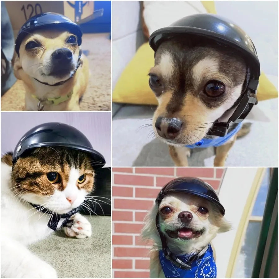 Dog Helmet for Small Dogs Motorcycle Dog Helmets Chihuahua Helmet Outdoor Bike Doggie Helmets Cat Hat XS to Small Breed Outdoor