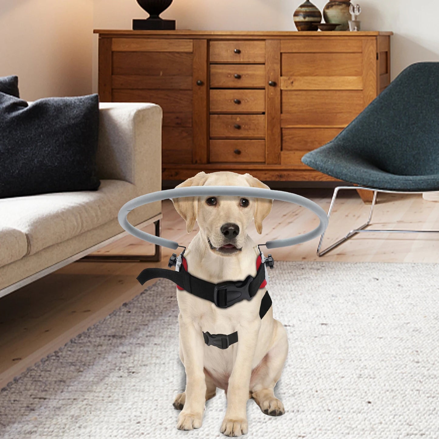 Blind Dog Halo Harness, Anti-Collision Blind Halo Ring for 11"-20" Visually Impaired Pets