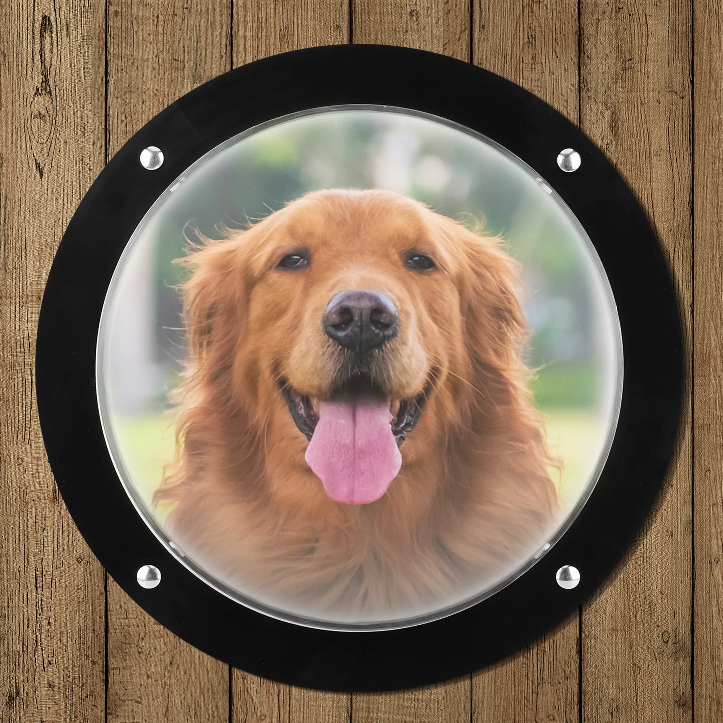 Acrylic Dome Dog Fence Window Clear View Dog Porthole Window Bubble Peek Window for Fence Pet Peek Look Out